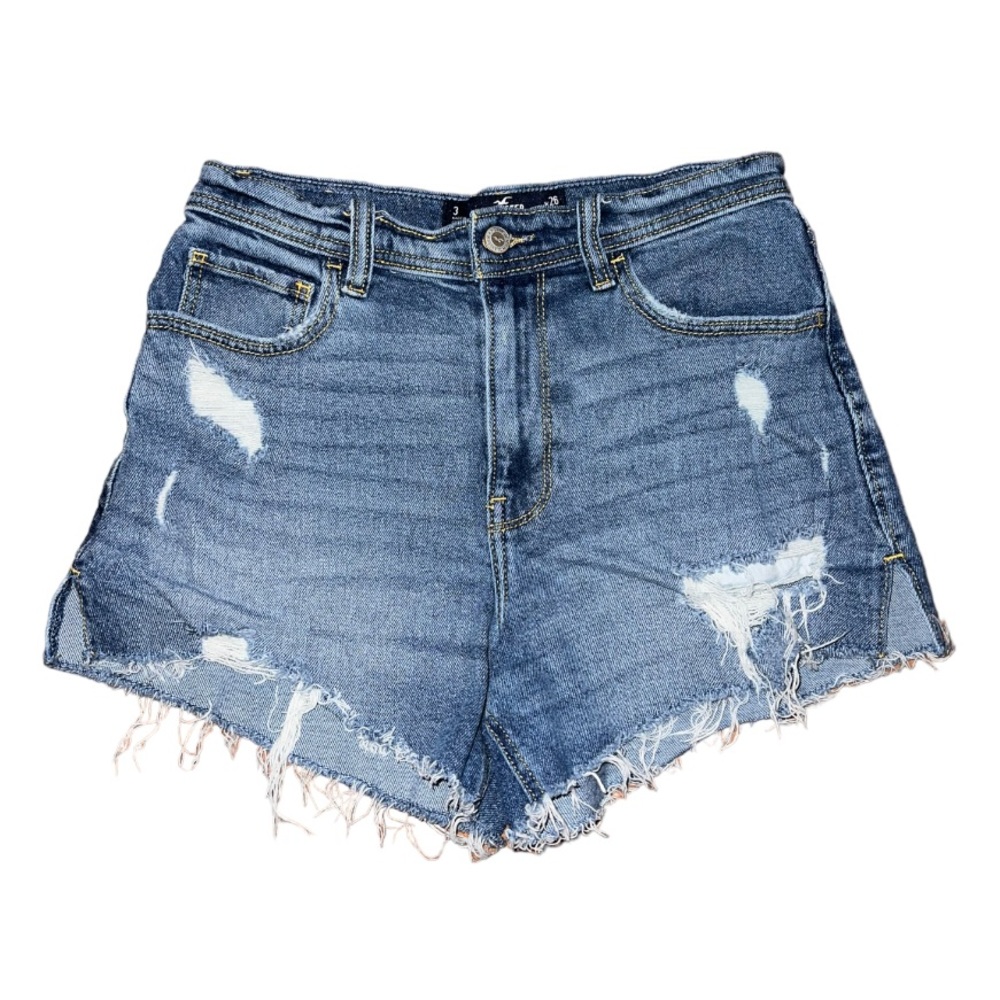 Hollister🦎Embroidered Sunflower Shorts🌵